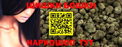 гашик Новокубанск