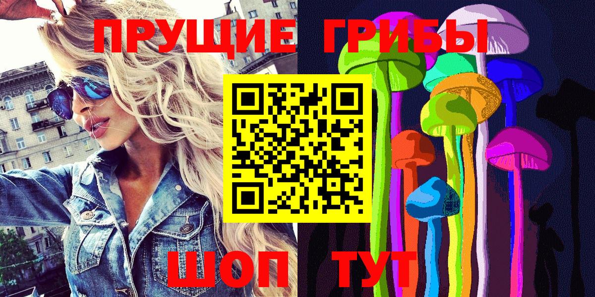 Галлюциногенные грибы Psilocybe Торжок