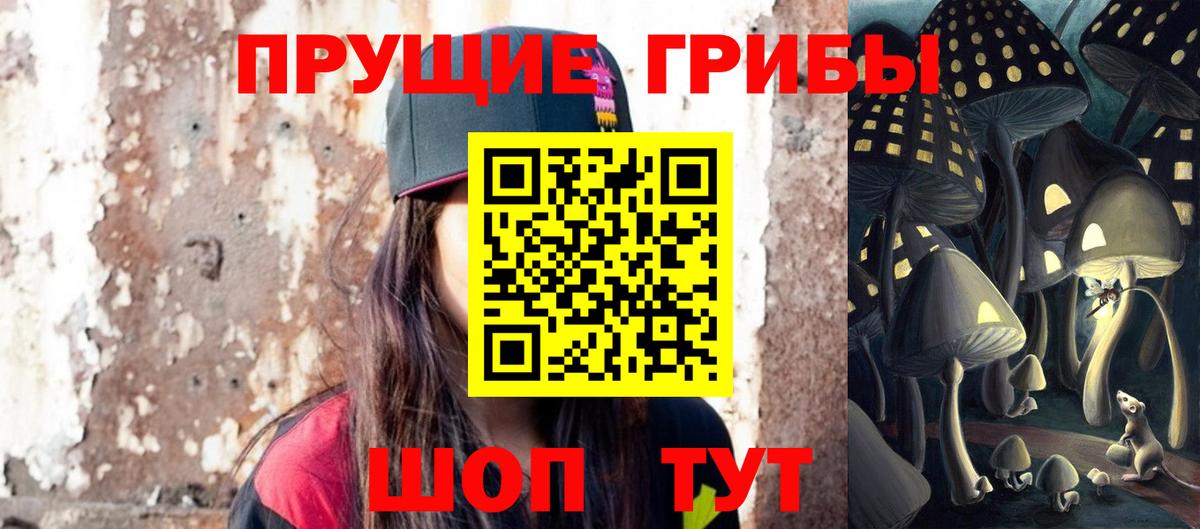 Галлюциногенные грибы MAGIC MUSHROOMS  Вход с VPN  Торжок 